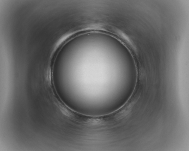 X0000111181320200907011402
