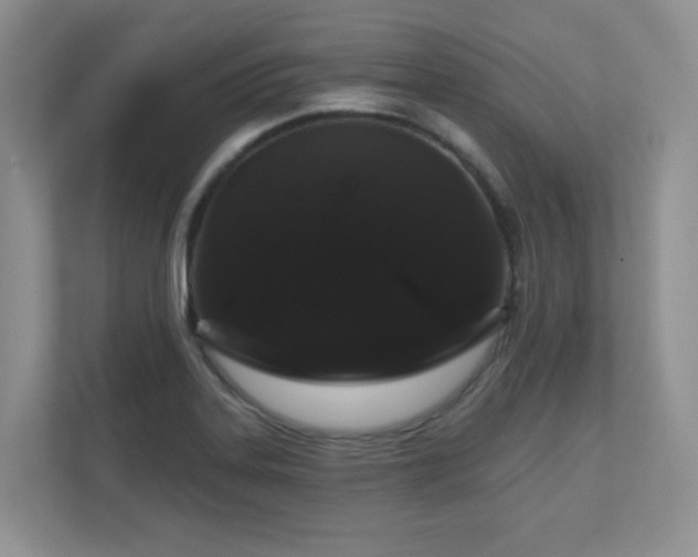 X0000111181323200907011402