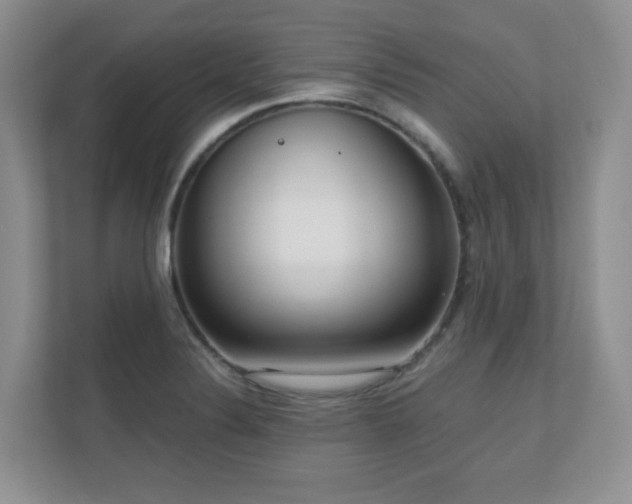 X0000111181324200907011402