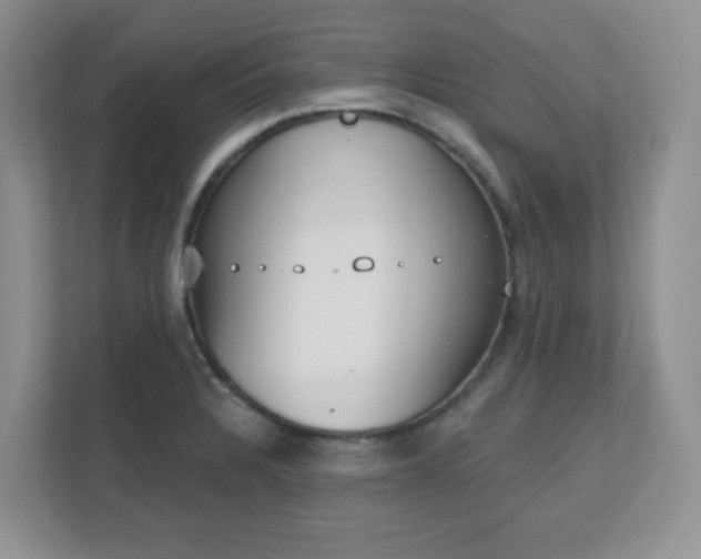 X0000111181328200907011402