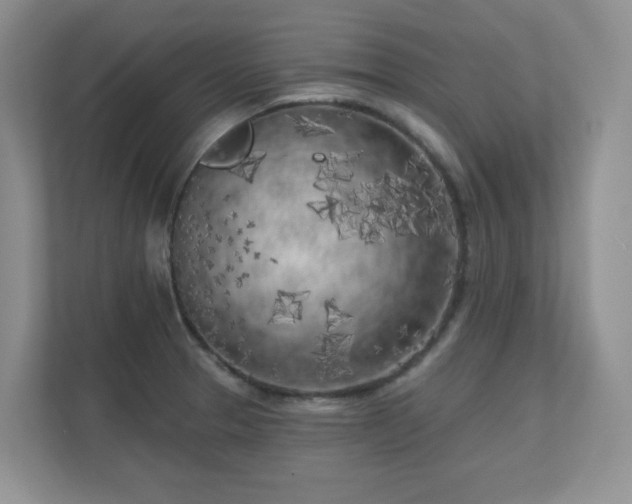 X0000111181329200907011402