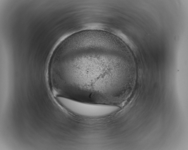 X0000111181331200907011402