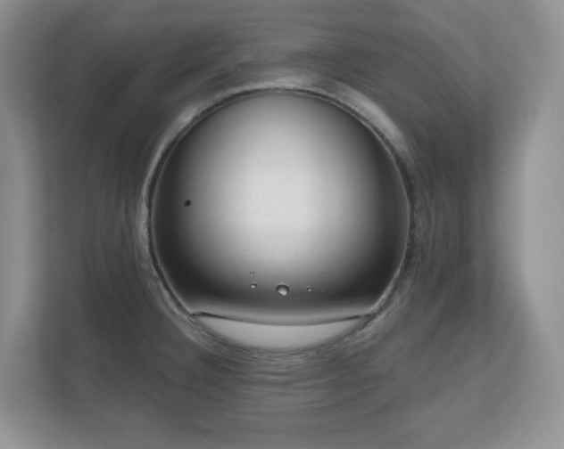 X0000111181332200907011402