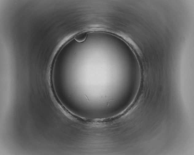 X0000111181333200907011402