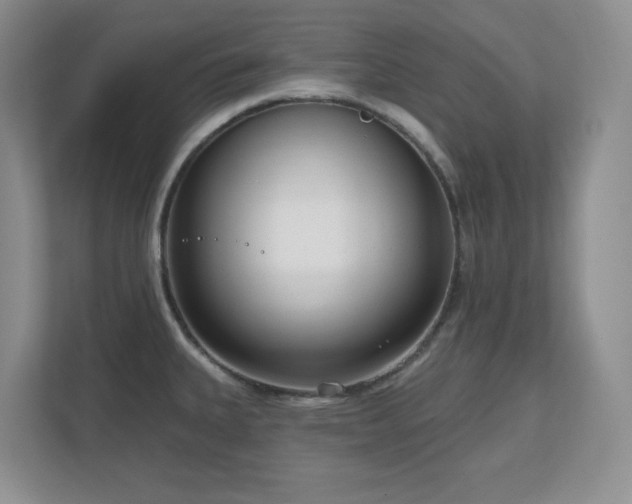 X0000111181335200907011402