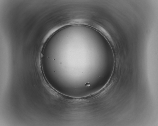 X0000111181336200907011402