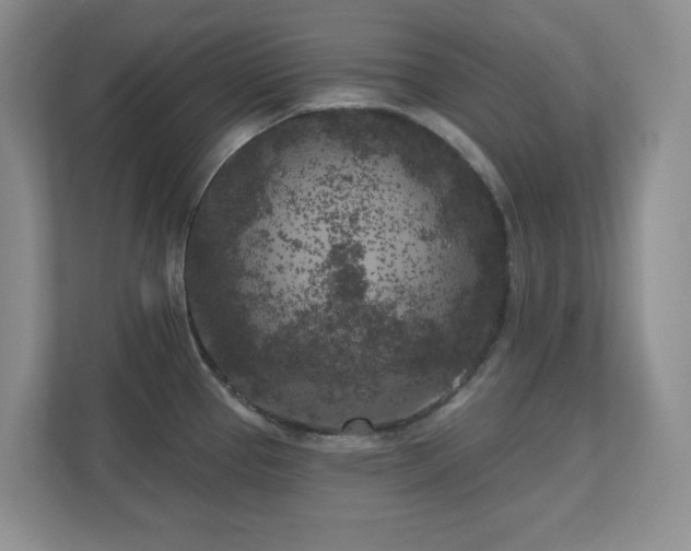 X0000111181337200907011402