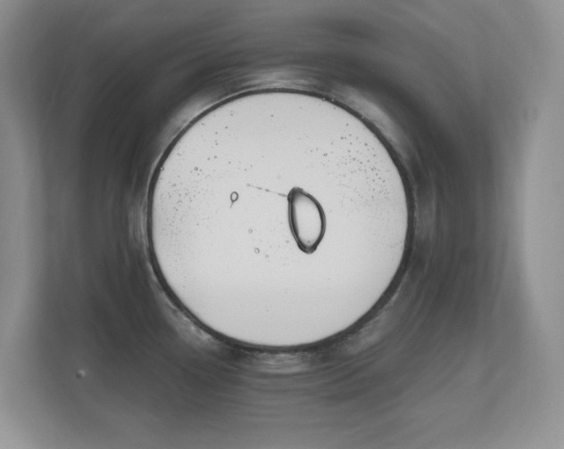 X0000111181338200907011402