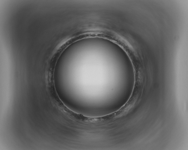 X0000111181352200907011401