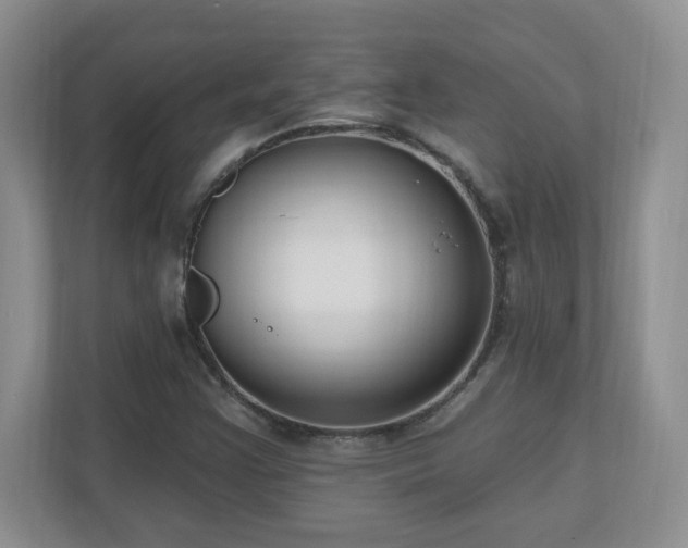 X0000111181355200907011401