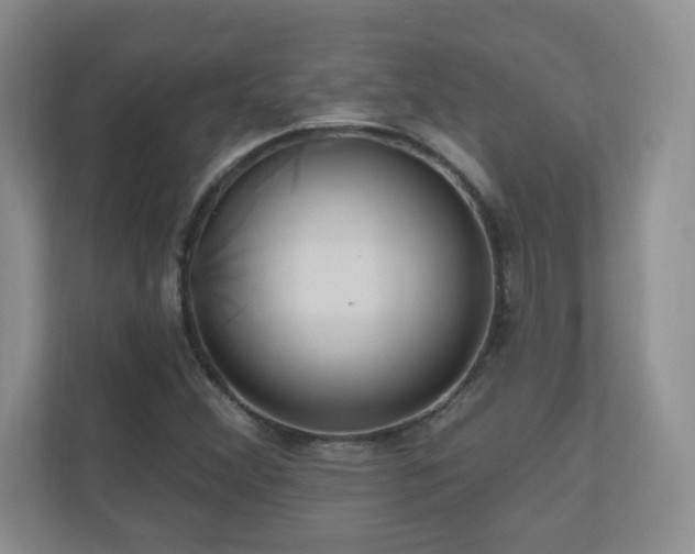 X0000111181356200907011401