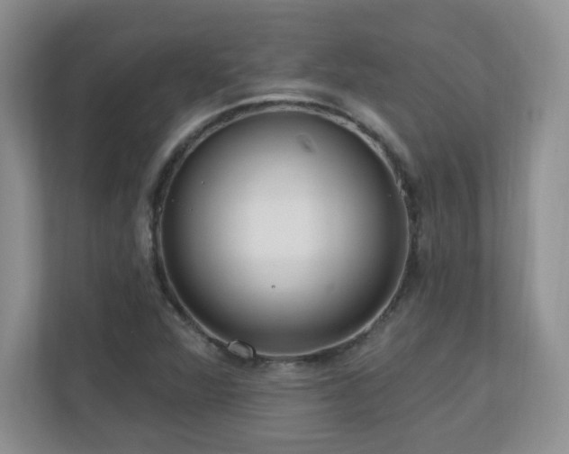 X0000111181360200907011401