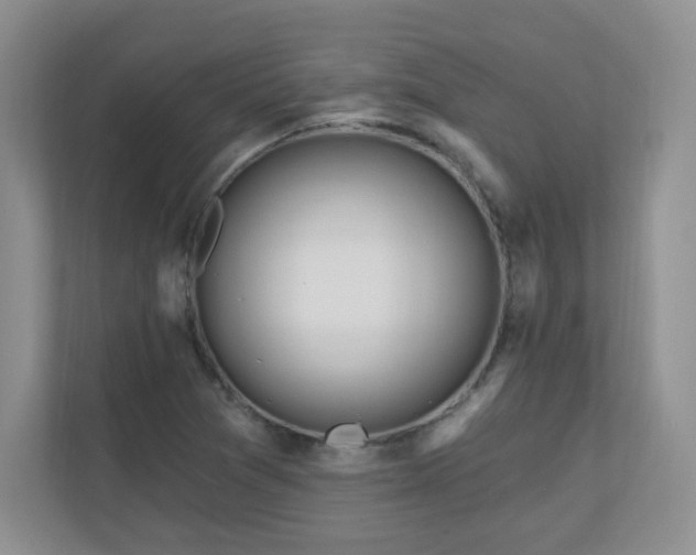 X0000111181361200907011401