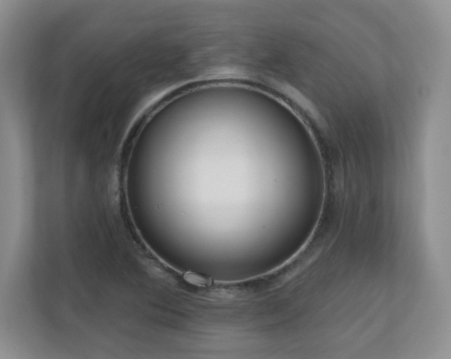 X0000111181364200907011401