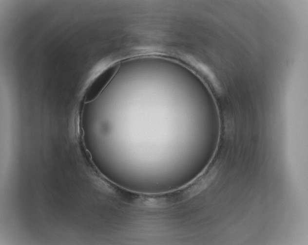 X0000111181365200907011401
