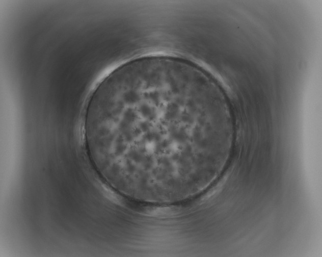 X0000111181367200907011401