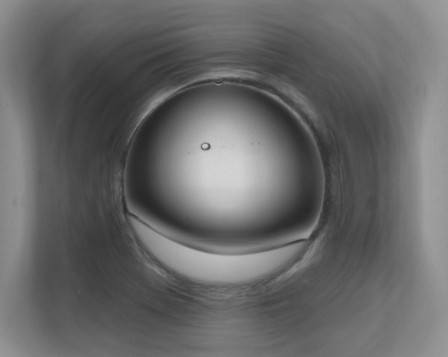 X0000111181369200907011401