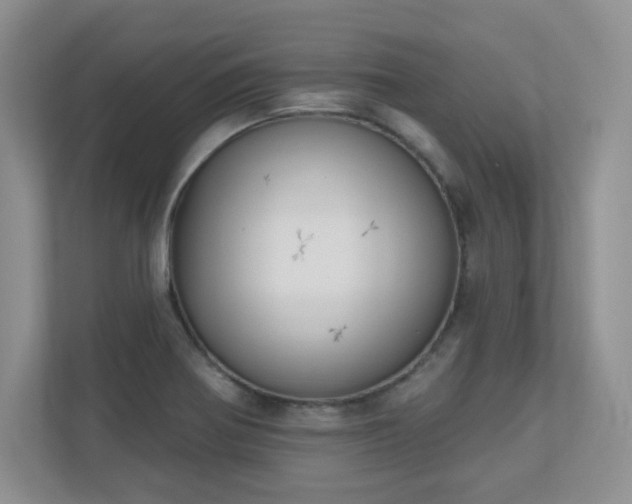 X0000111181370200907011401