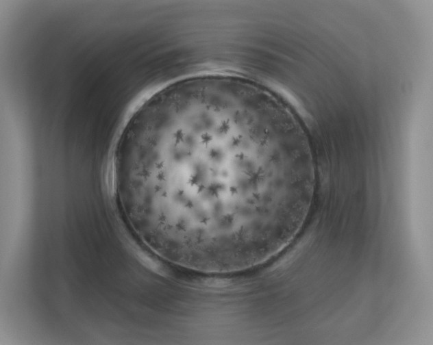 X0000111181371200907011401