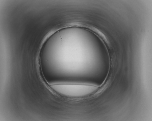 X0000111181373200907011401