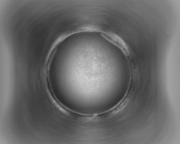 X0000111181381200907011401