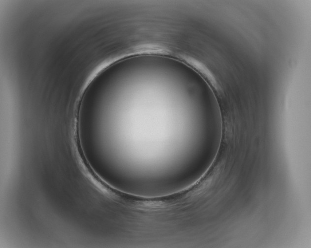 X0000111181383200907011401