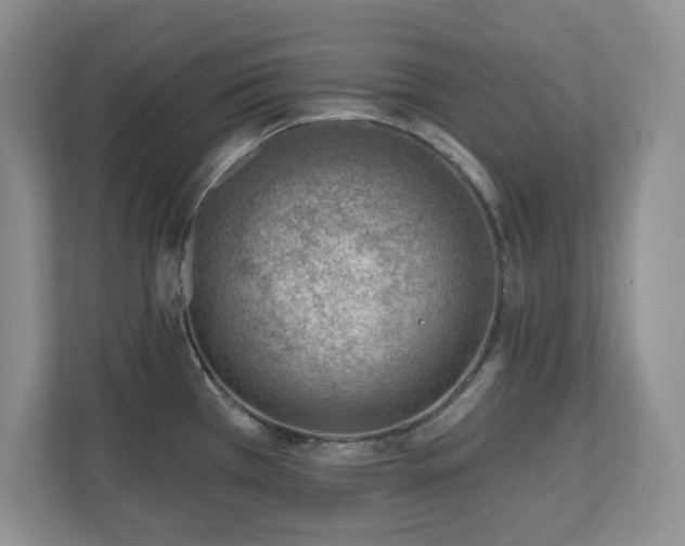 X0000111181385200907011401