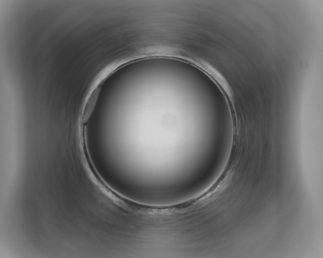 X0000111181389200907011401