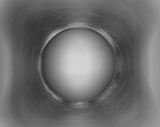 X0000111181390200907011401