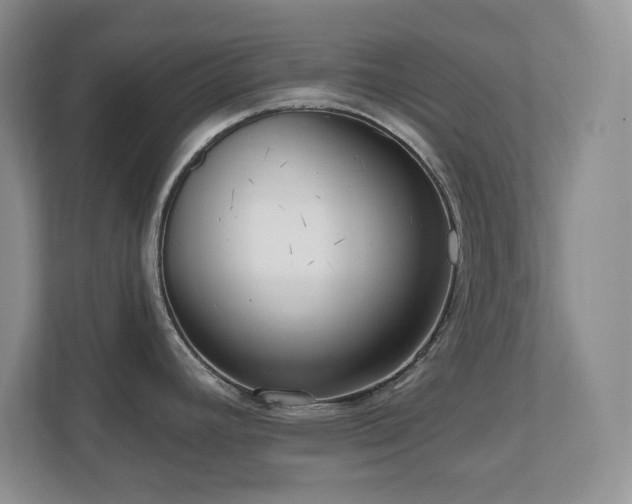 X0000111181392200907011401