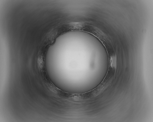 X0000111181395200907011400