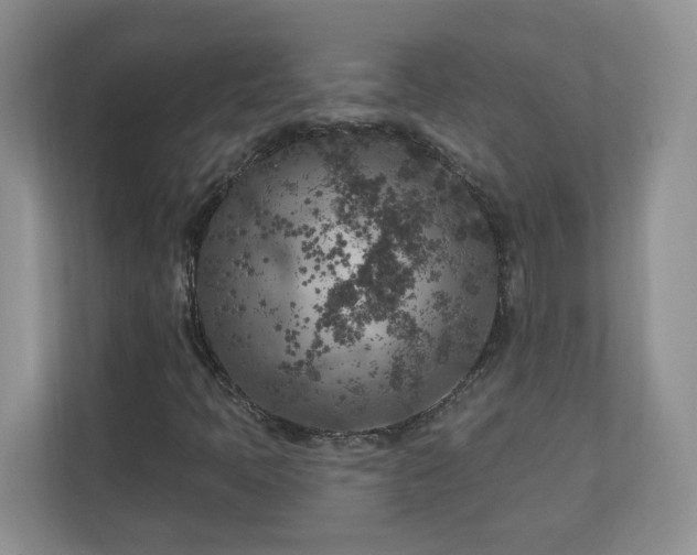 X0000111181397200907011400