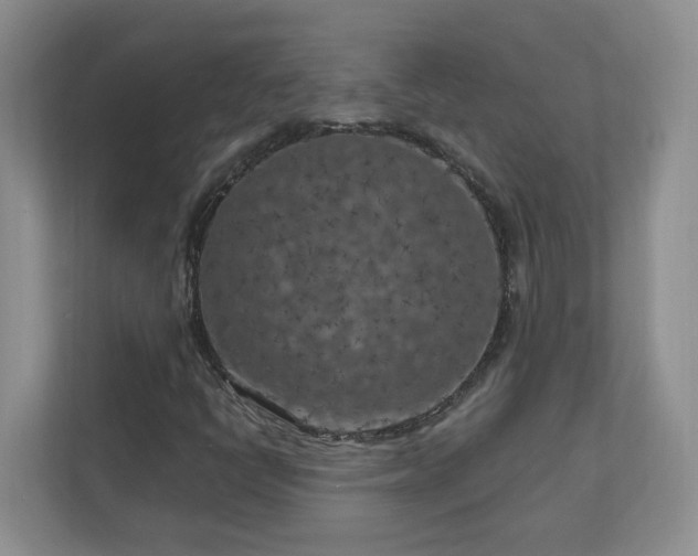 X0000111181398200907011400