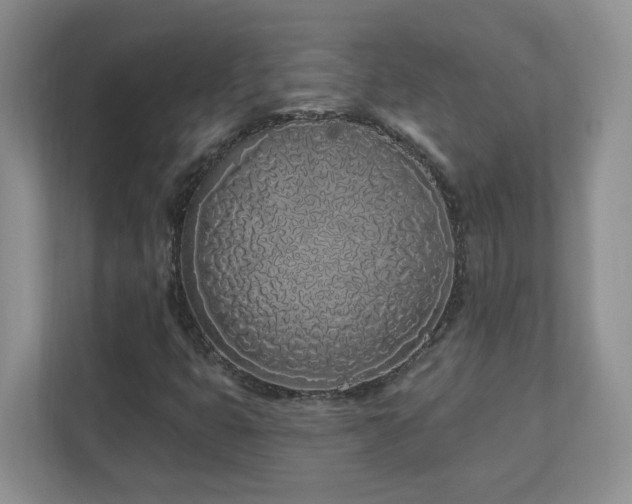 X0000111181399200907011400