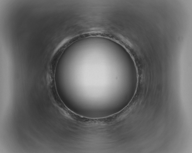 X0000111181400200907011400