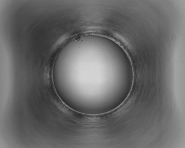 X0000111181403200907011400