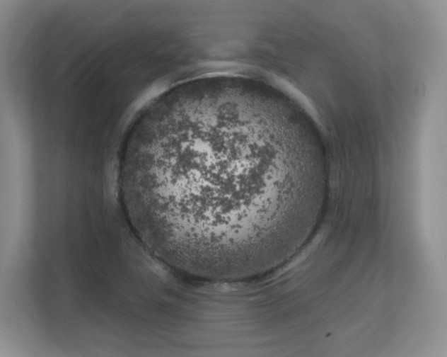 X0000111181411200907011400