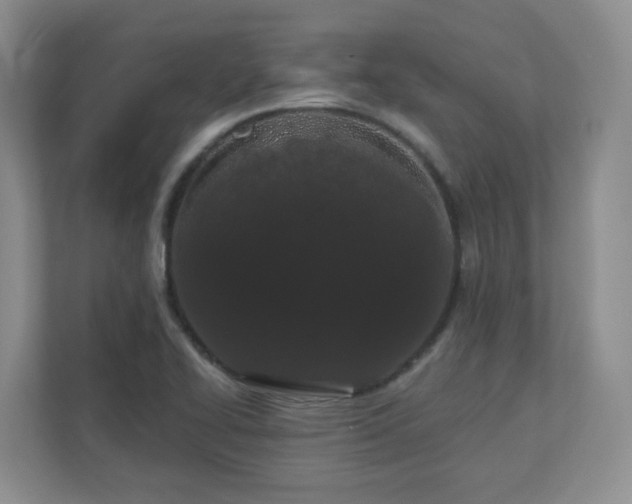 X0000111181414200907011400