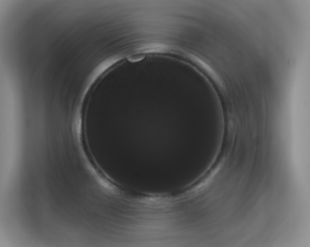 X0000111181418200907011400