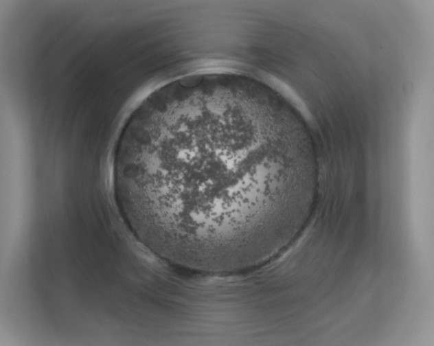 X0000111181419200907011400