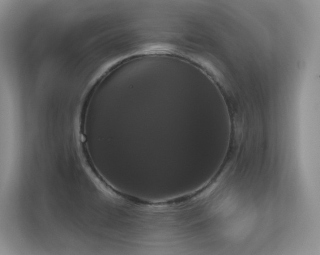X0000111181422200907011400
