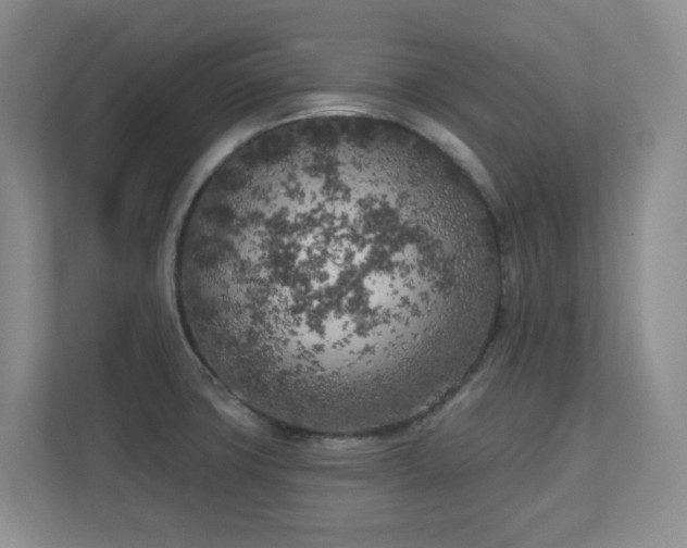X0000111181427200907011400
