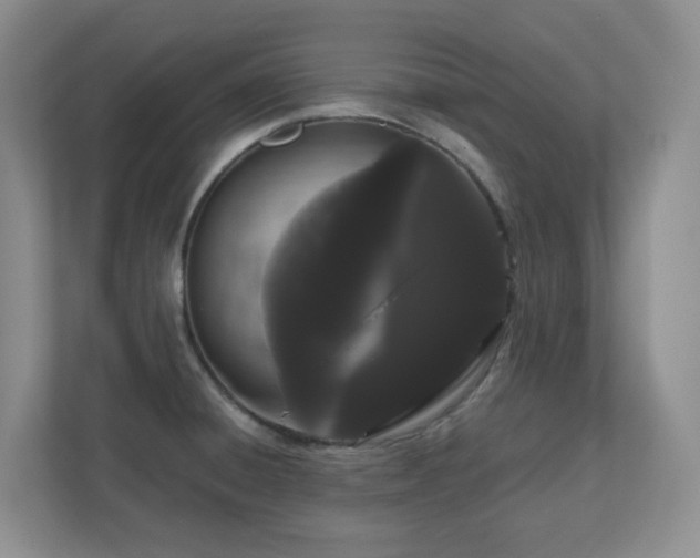 X0000111181428200907011400