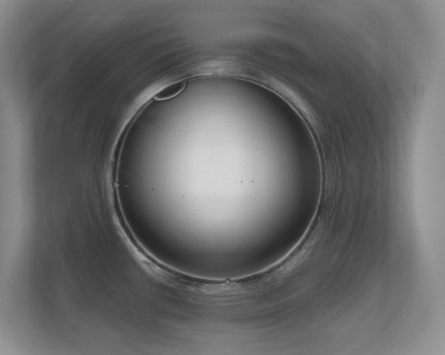 X0000111181434200907011401