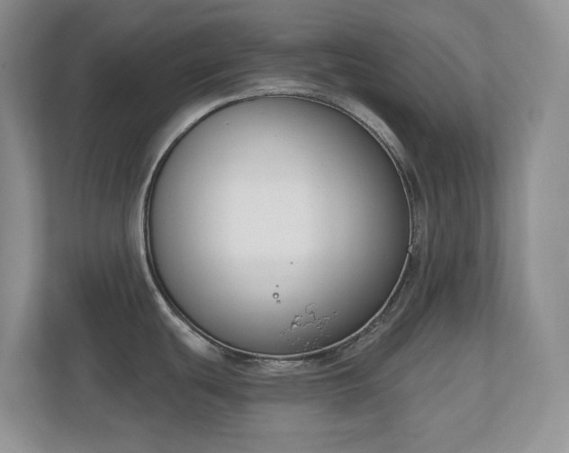 X0000111181439200907011401
