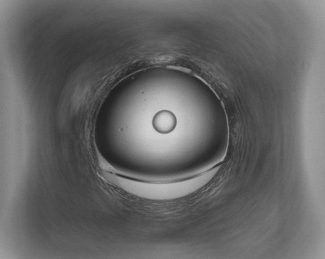 X0000111181441200907011400
