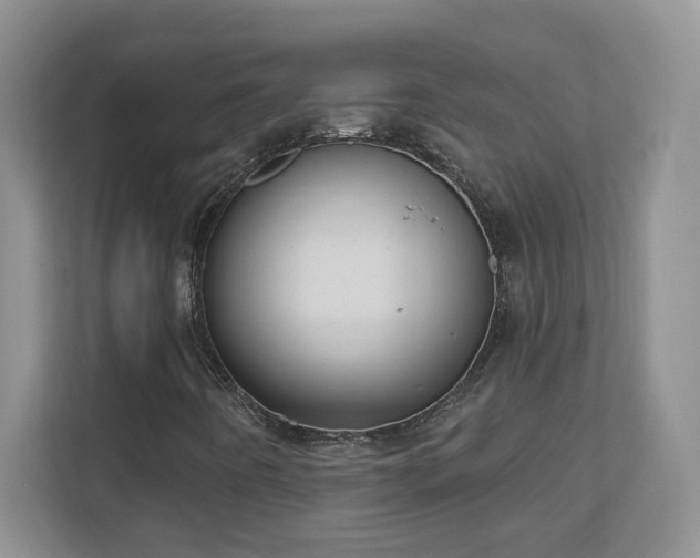 X0000111181442200907011400