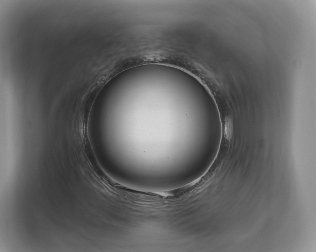 X0000111181444200907011400