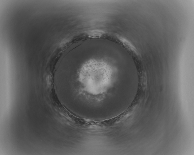 X0000111181445200907011400