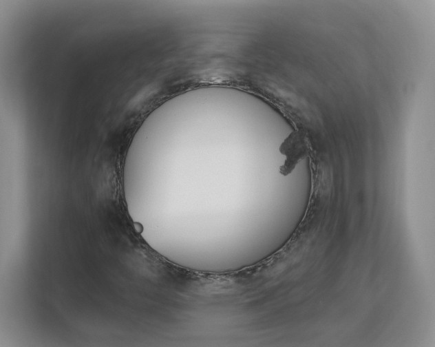 X0000111181446200907011400